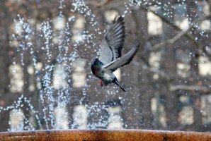 北極寒潮襲擊美國 導致美國東北部學校停課