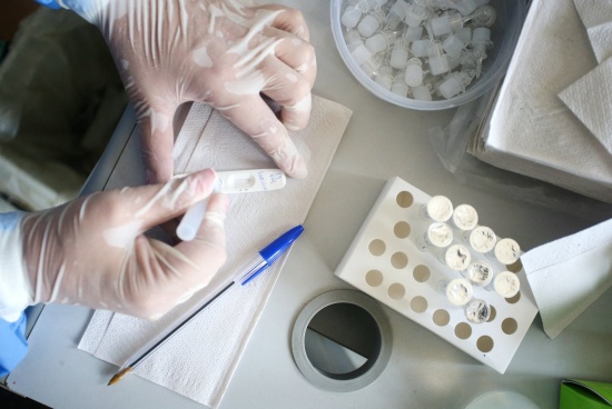 巴西新增確診66583例新冠確診病例 新增428死亡病例