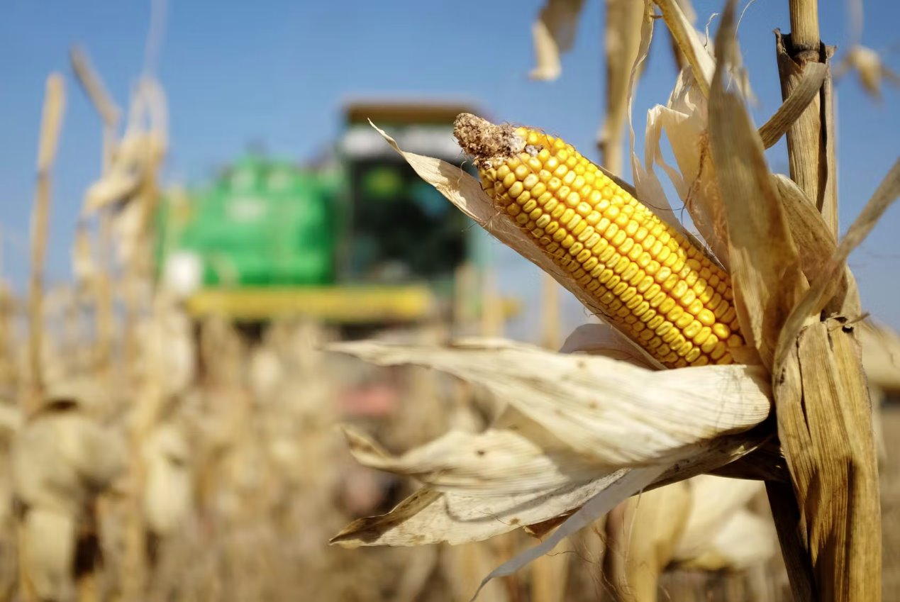 烏克蘭戰爭加劇全球糧食危機 不要將俄羅斯排除在G20之外