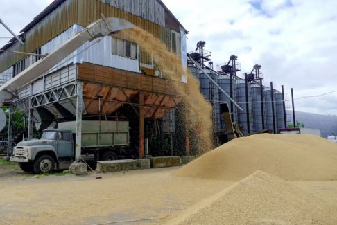 美國表示將追究俄羅斯對烏克蘭糧食出口的責任