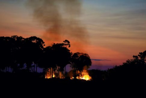 亞馬遜火災和森林砍伐的原因和后果
