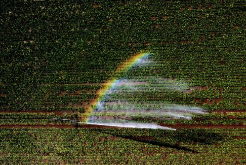 英國干旱嚴重 約克郡水務公司將從8月26日起實施軟管