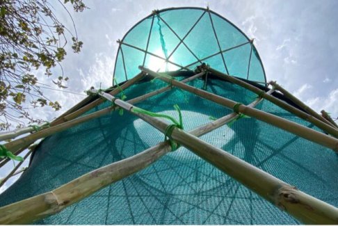 墨西哥用傳統的捕霧方法來應對水資源短缺