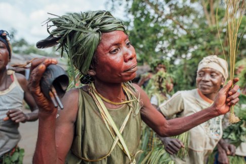森林砍伐正在以相當(dāng)于自然崩潰的規(guī)模和速度發(fā)生