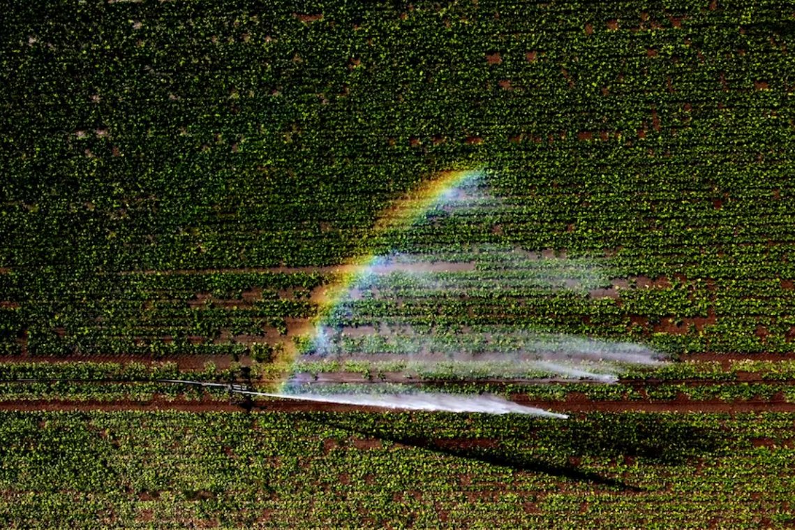 英國干旱嚴重 約克郡水務公司將從8月26日起實施軟管禁令