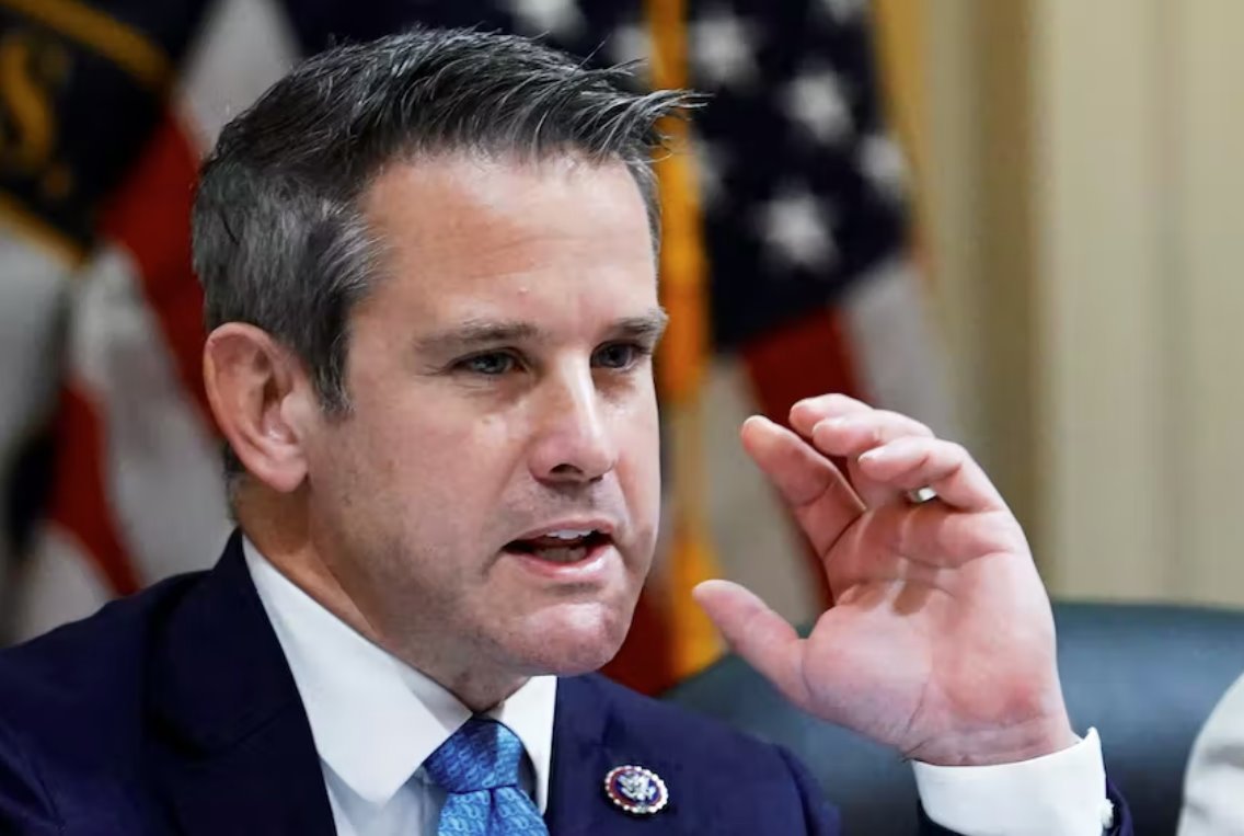 國會議員金辛格說 共和黨人為特朗普辯護是“虛偽的”