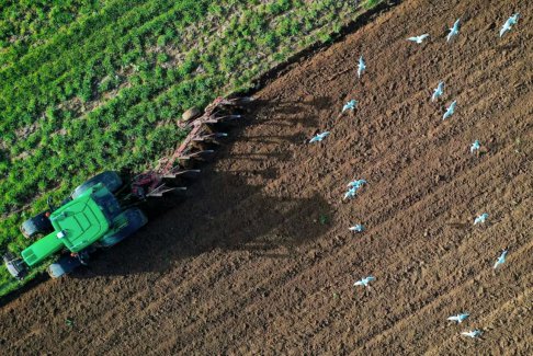 盡管糧食價格上漲 世界糧食指數10月下滑