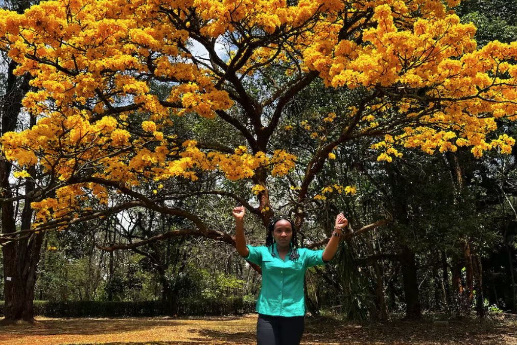 年輕的肯尼亞樹木活動家在COP27上為非洲發聲