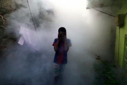 隨著全球變暖使病例接近歷史高點 世衛組織警告登革