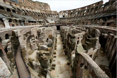 羅馬采取行動(dòng)清除羅馬斗獸場(chǎng)地區(qū)的老鼠