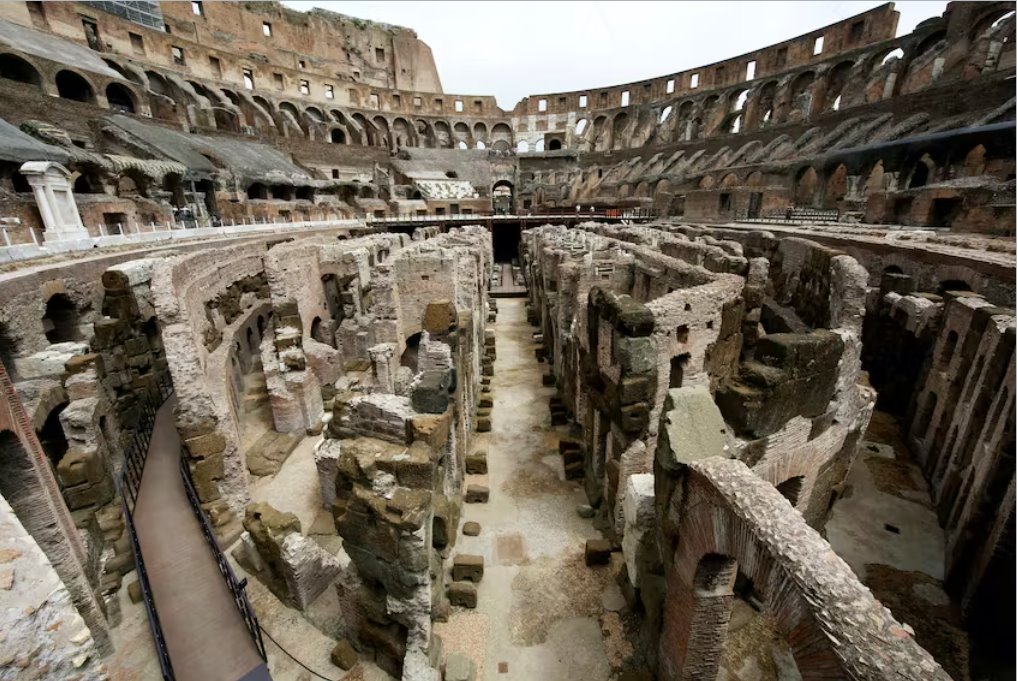 羅馬采取行動清除羅馬斗獸場地區的老鼠