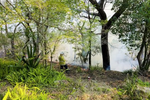 澳大利亞酷熱難耐森林火災風險上升