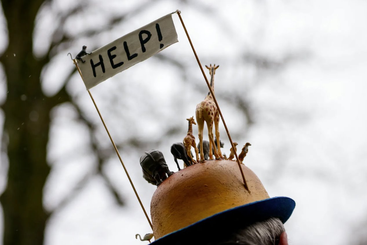 比利時氣候抗議者告訴COP28“不存在行星B”