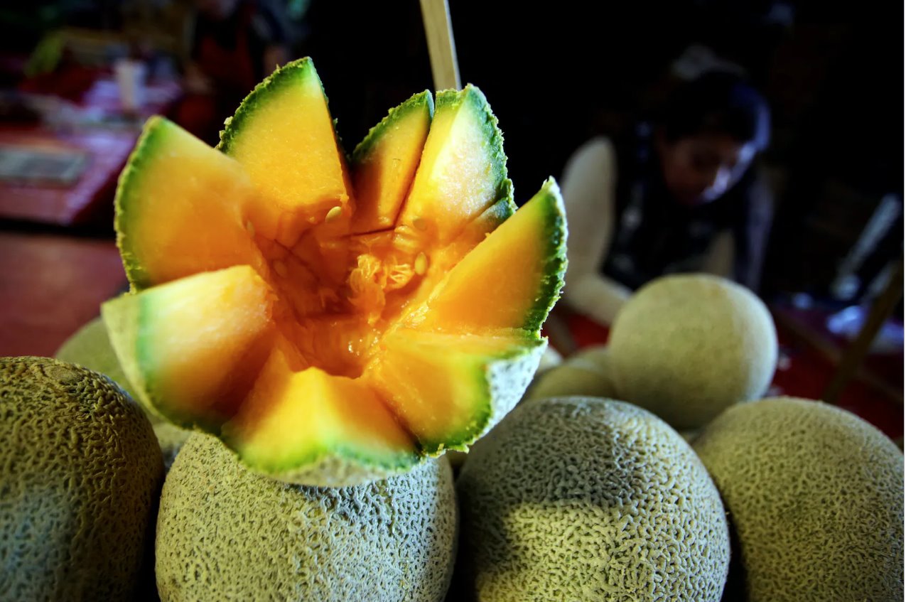 墨西哥哈密瓜工廠爆發沙門氏菌檢測呈陰性