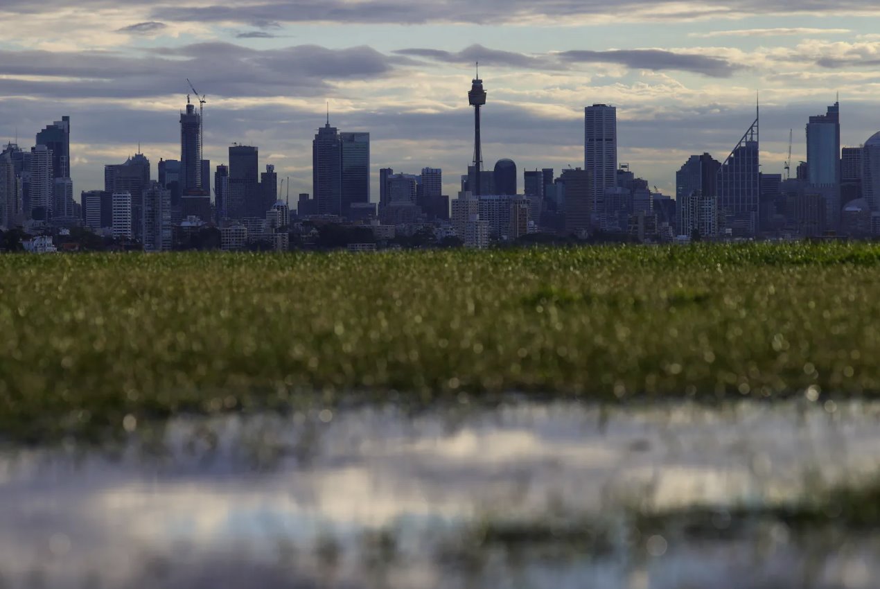 2020年6月29日,澳大利亞悉尼,為遏制冠狀病毒疾病(COVID-19)傳播而實(shí)施的限制放松,市中心的天際線清晰可見。