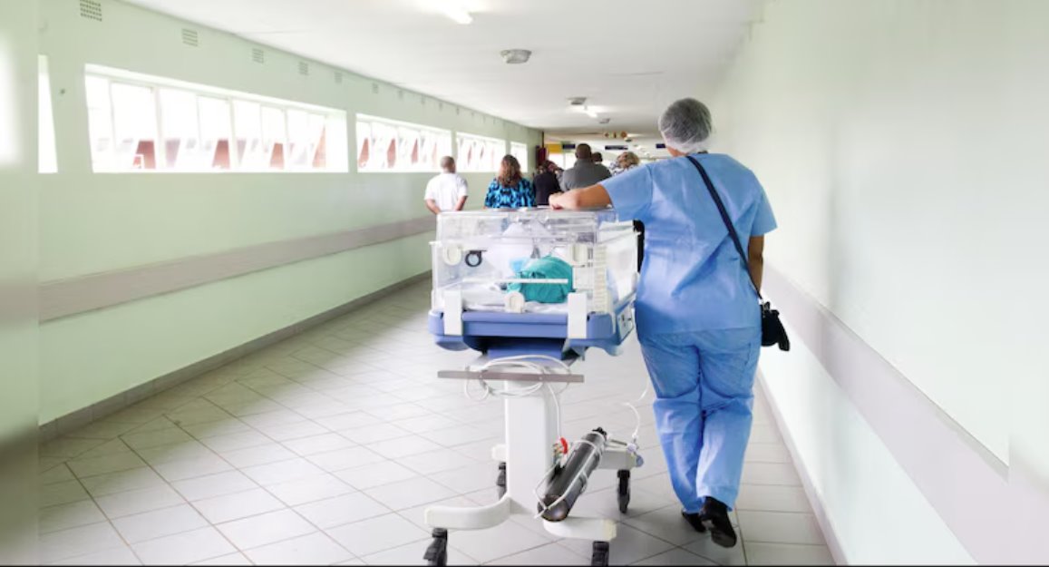 諾如病毒傳染性極強(qiáng)，感染胃和腸道。