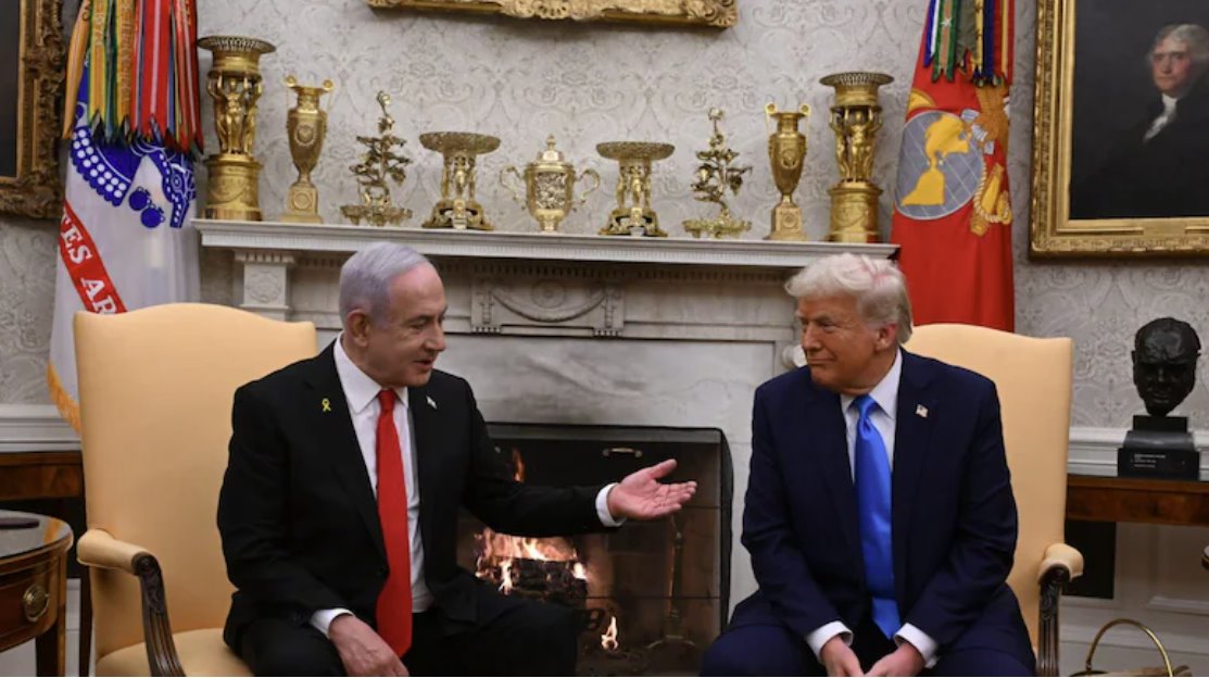 此次減產在很大程度上被視為一種外交和政治姿態，而非經濟姿態。