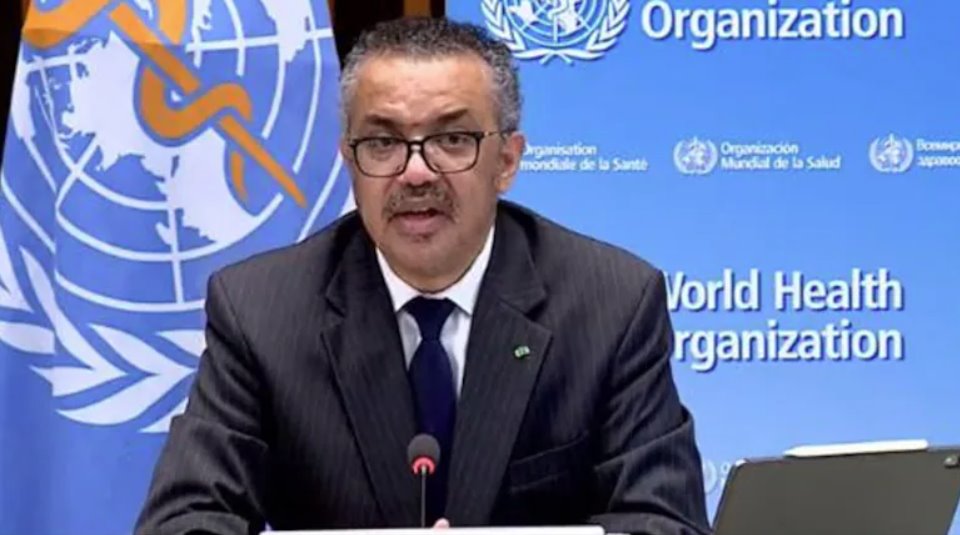 世衛組織總干事表示，只有政治解決方案才能帶來有意義的和平。