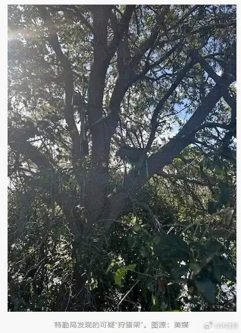 特朗普專機附近疑發(fā)現狙擊狩獵臺